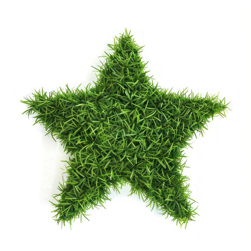 Star shape lawn symbol plant leaf.