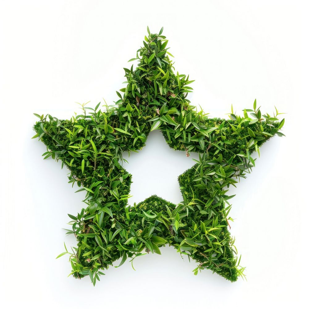 Star shape lawn symbol green plant.