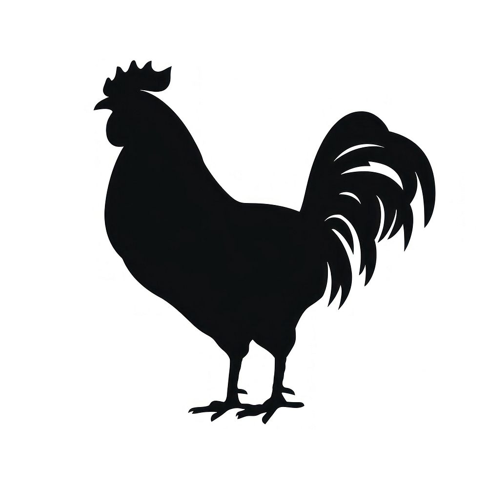 Chicken silhouette poultry rooster animal.