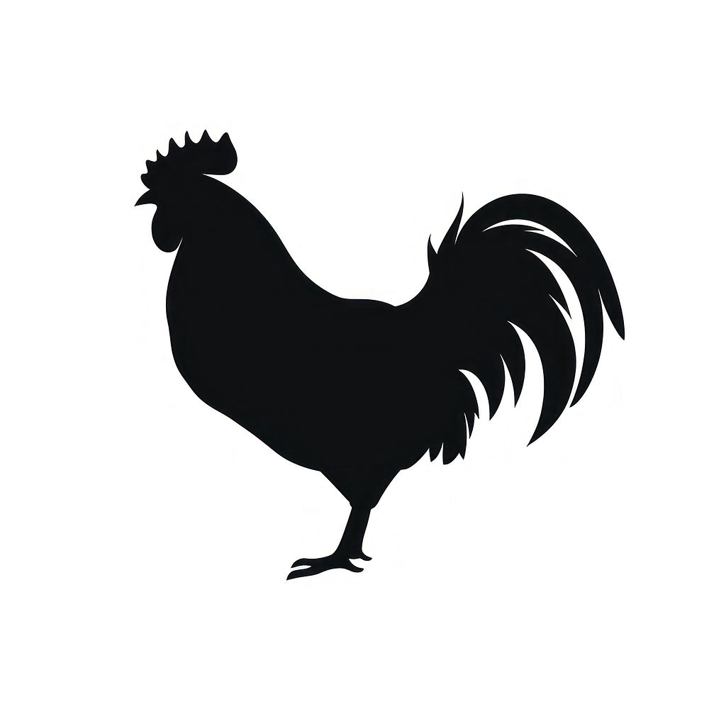 Chicken silhouette poultry rooster animal.