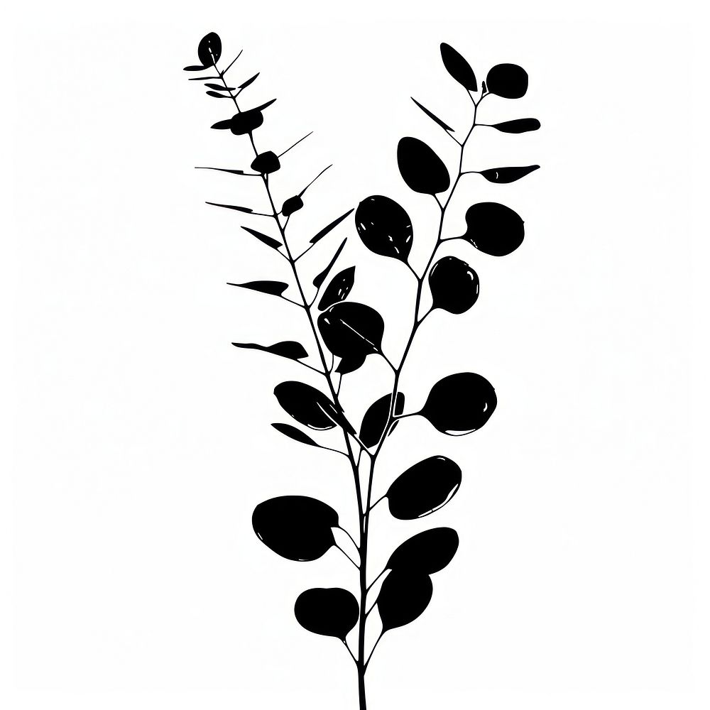 Eucalyptus silhouette art illustrated stencil.