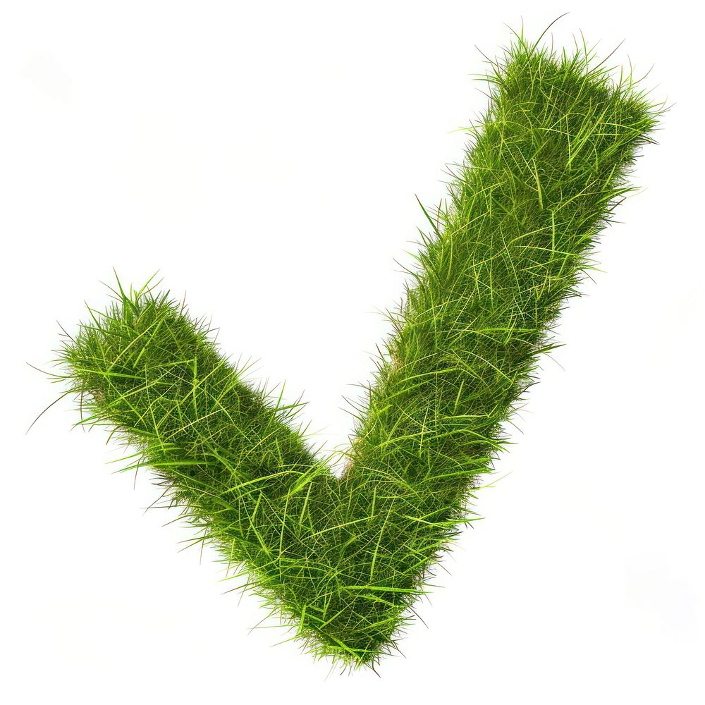 Checkmark shape lawn grass plant moss.