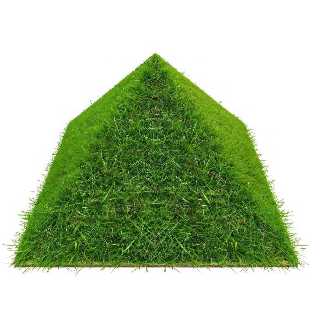 Pyramid shape lawn grass plant moss.