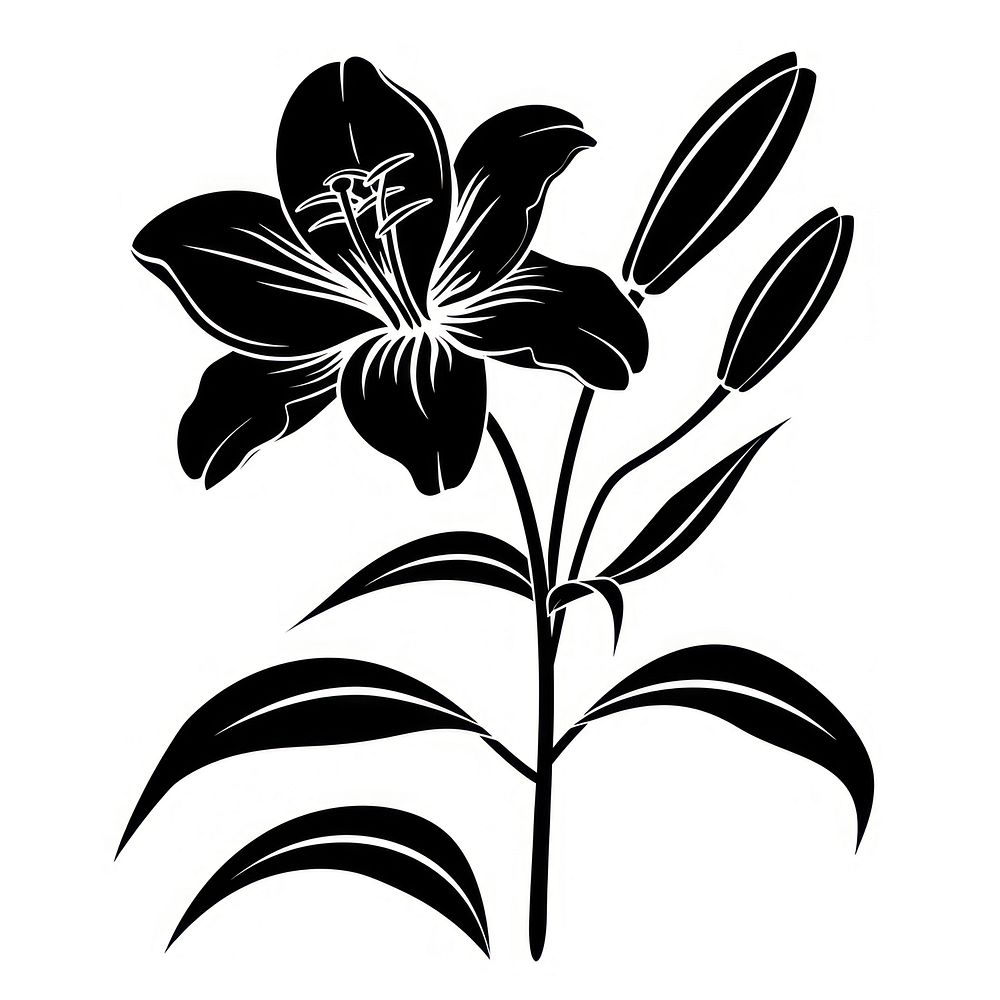 Lily silhouette stencil blossom flower.