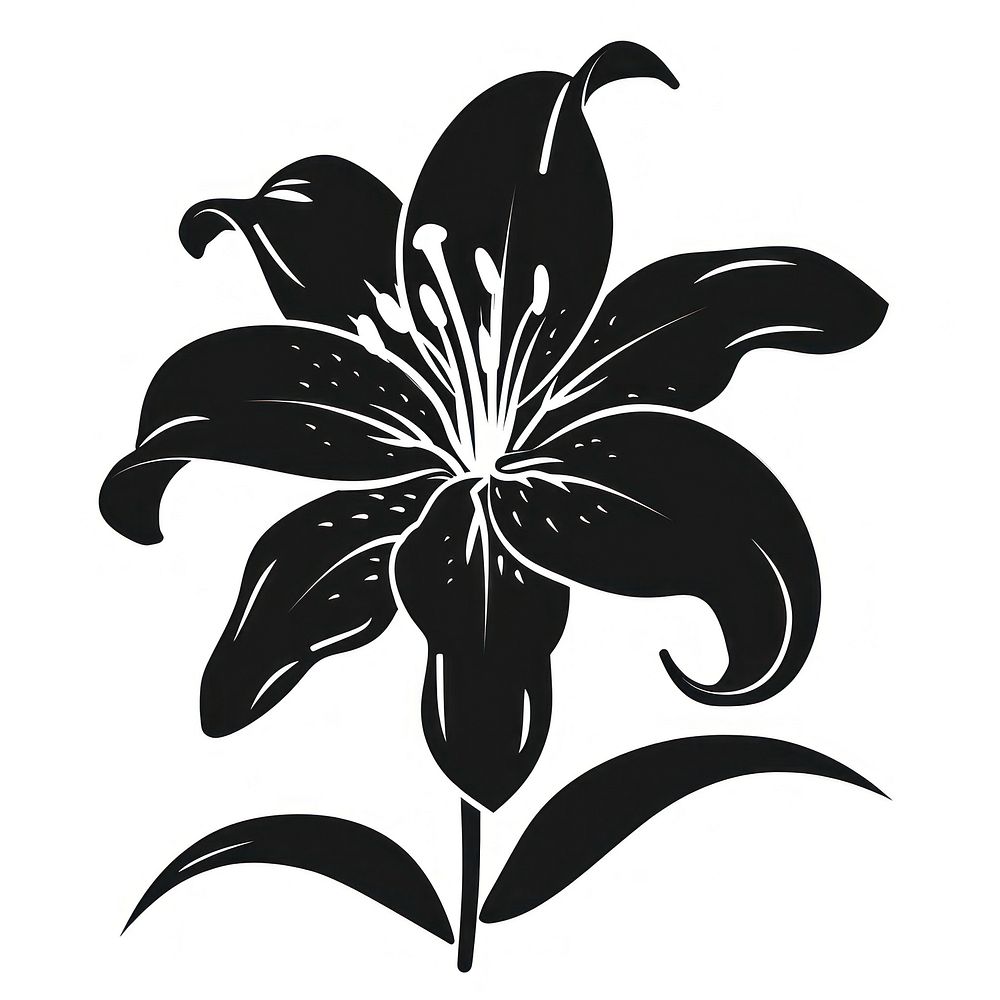 Lily silhouette blossom stencil flower.