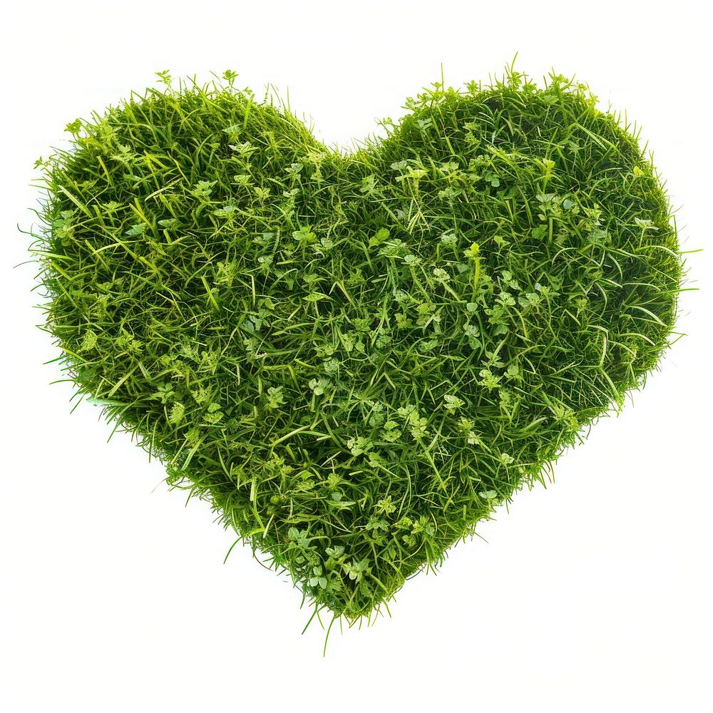 Heart shape lawn symbol herbs plant.