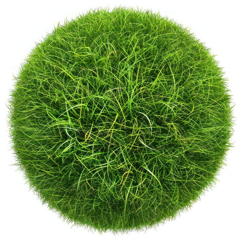 Sphere shape lawn grass vegetation seasoning.