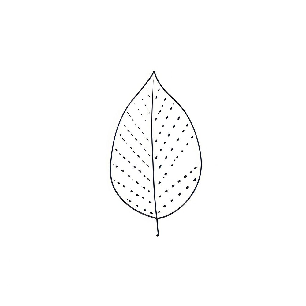 Leaf shaped illustrated drawing sketch.