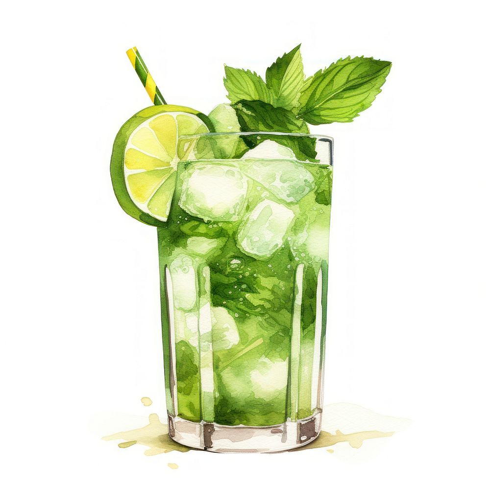 Mojito cocktail watercolor drink fruit plant.