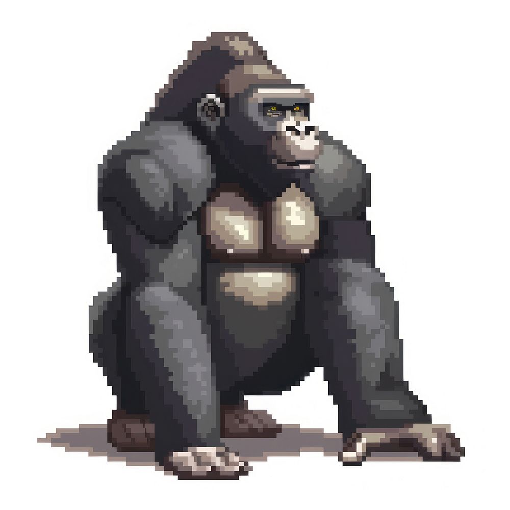 Gorilla mammal animal ape.