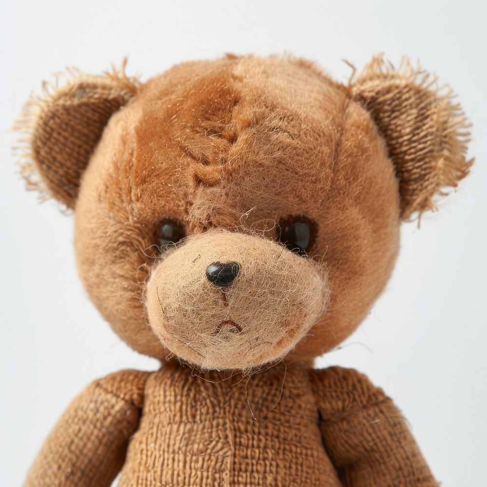 Brown bear doll toy representation softness.