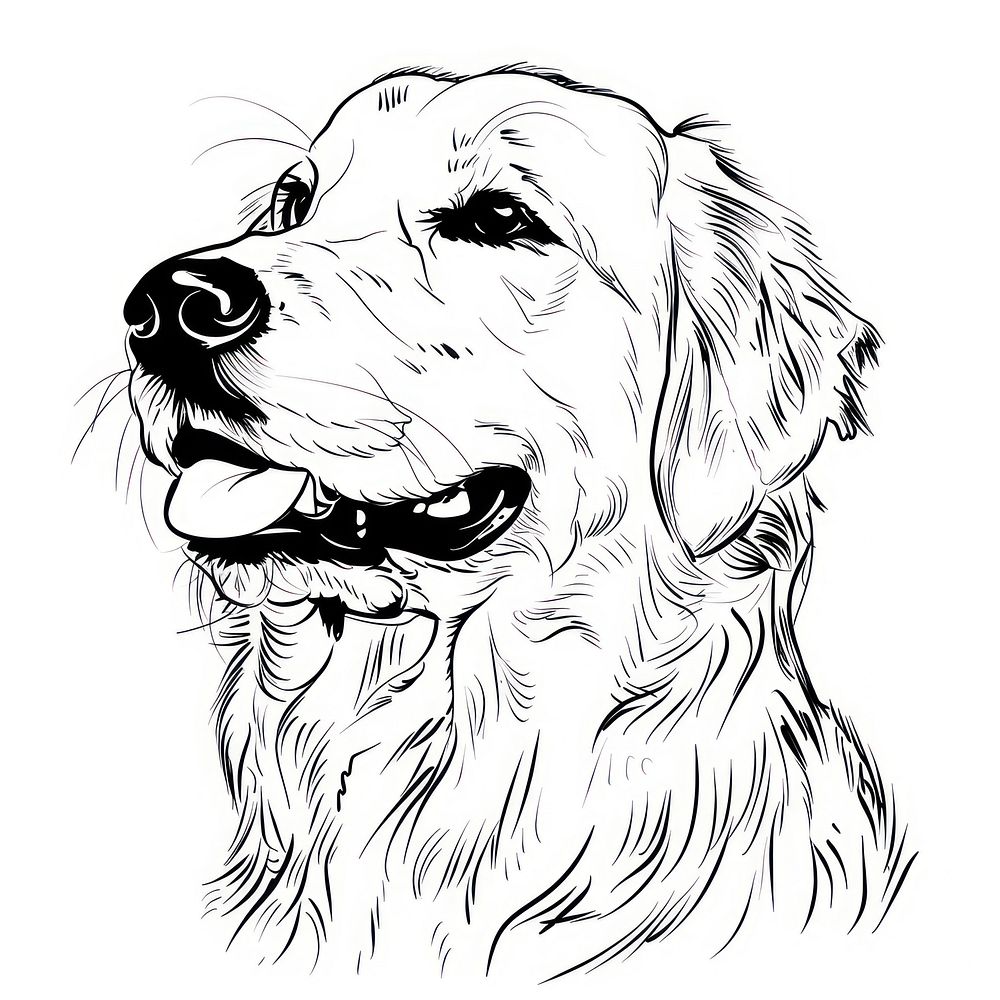 Golden retriever doodle drawing animal | Premium Photo Illustration ...