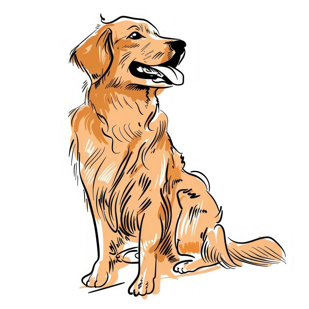 Golden retriever doodle mammal animal dog.