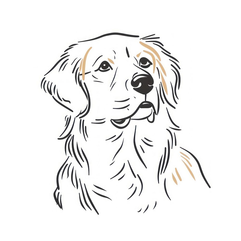 Golden retriever doodle drawing animal mammal.