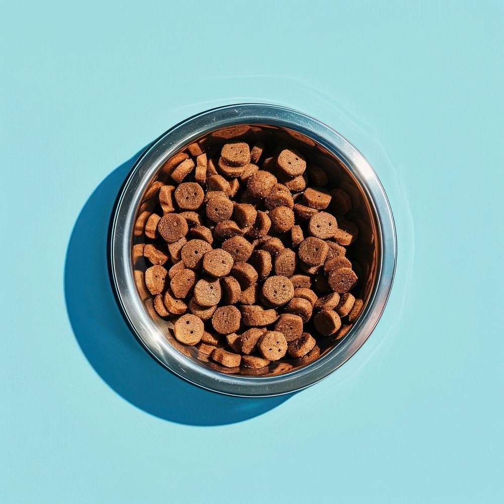 Dog food bowl freshness carnivora container.