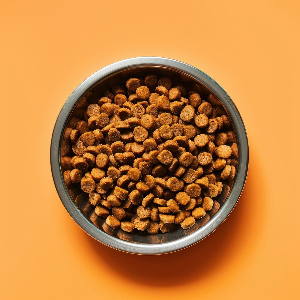 Dog food bowl ingredient carnivora freshness.