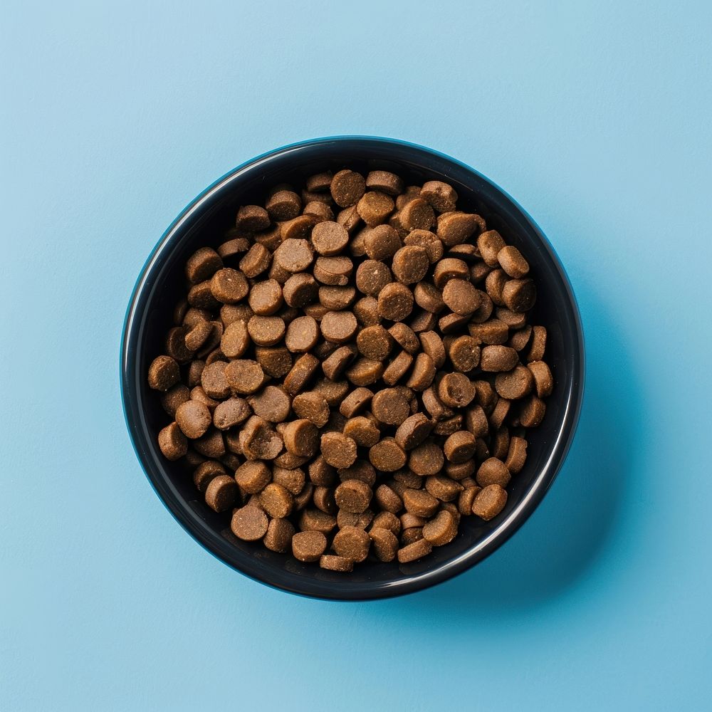 Dog food bowl coffee ingredient freshness.