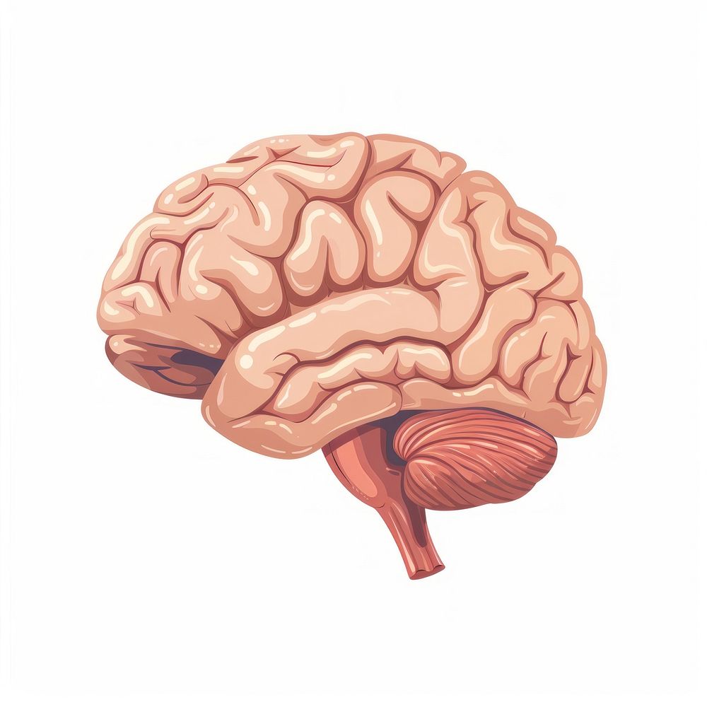 Human brain digital art illustration