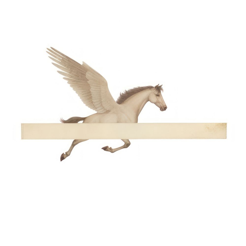 Pegasus animal mammal horse.