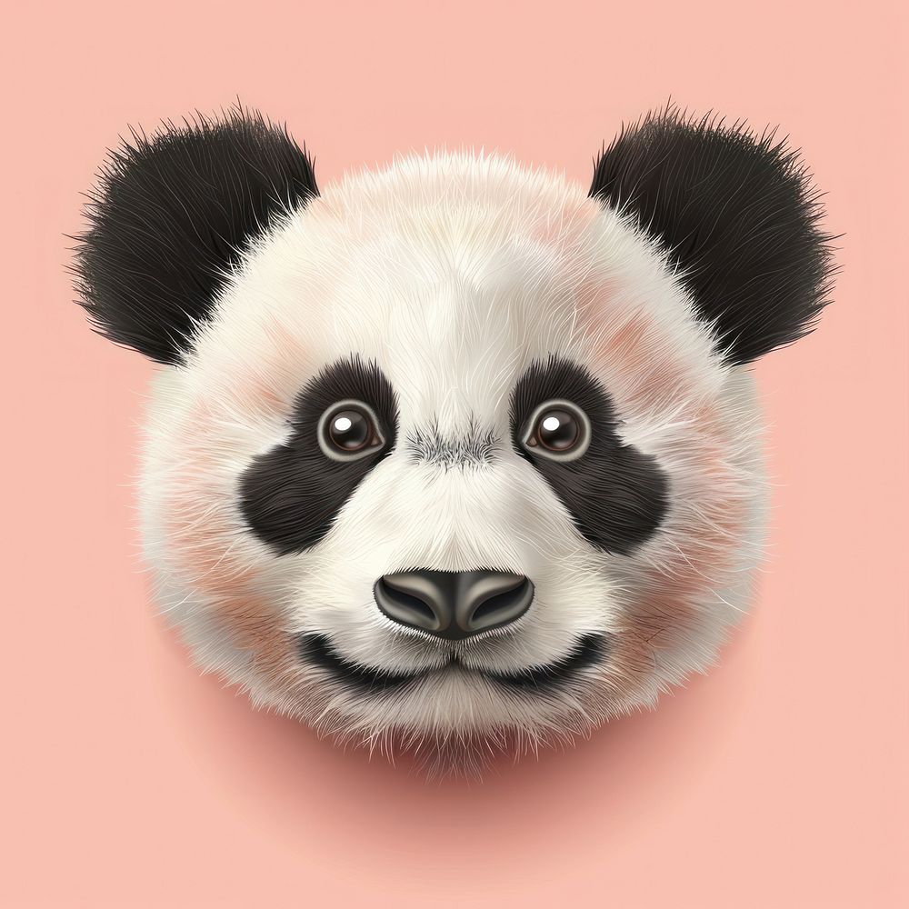Cute panda face animal mammal bear.