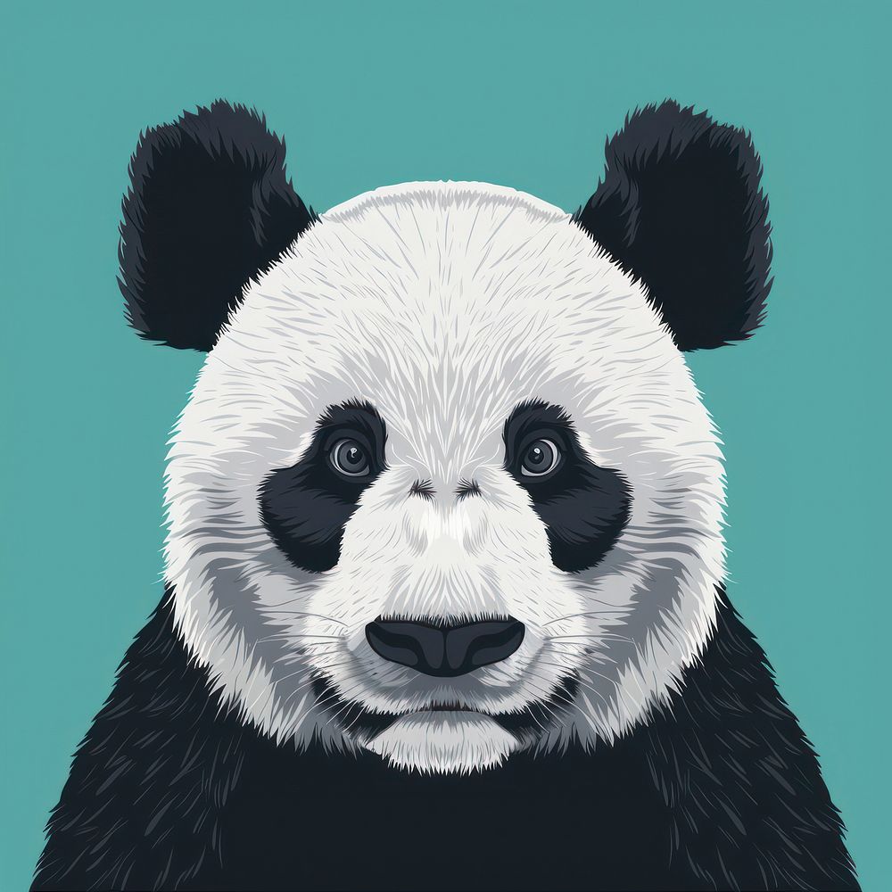 Cute panda face animal mammal bear.