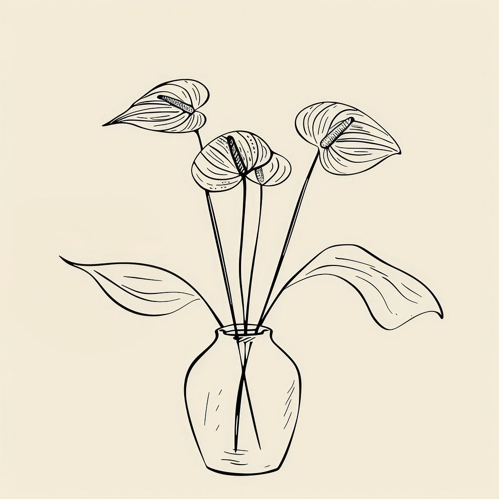 Anthurium flower vase sketch drawing plant.