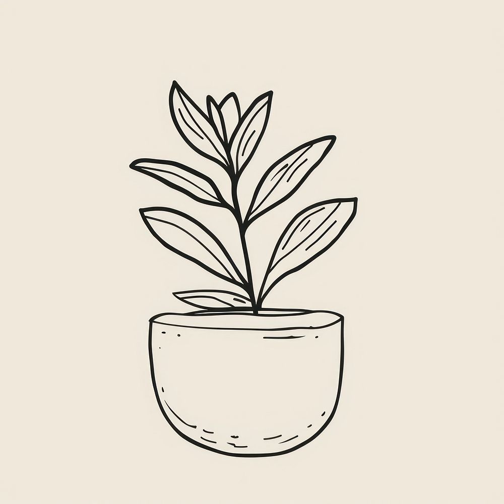 Plant pot sketch drawing leaf.