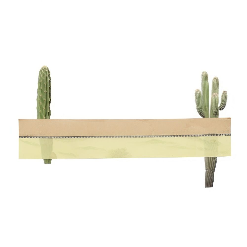 Cactus shape paper furniture letterbox planter.