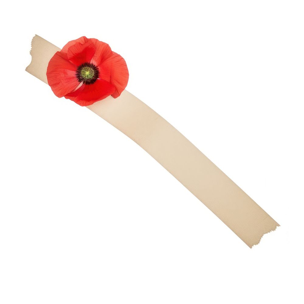 Red poppy flowers accessories accessory weaponry.