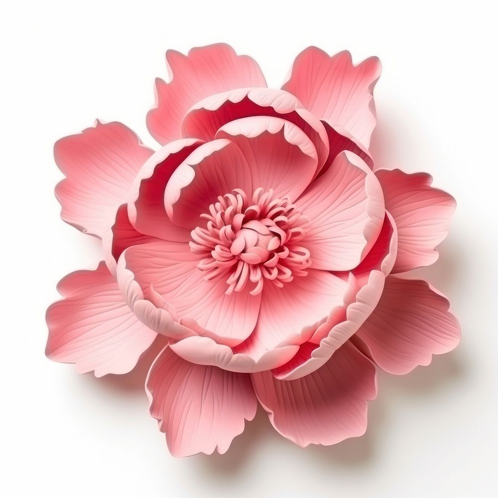 Peony plasticine carnation blossom flower.