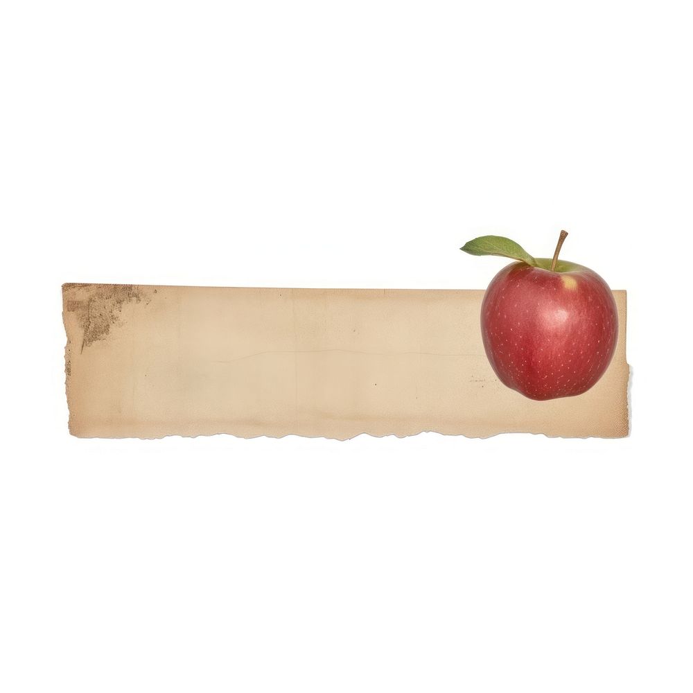 Apple fruit plant paper.