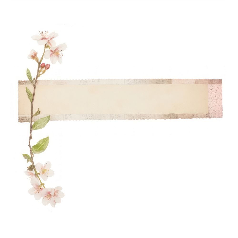 Cherry blossom flower plant paper.