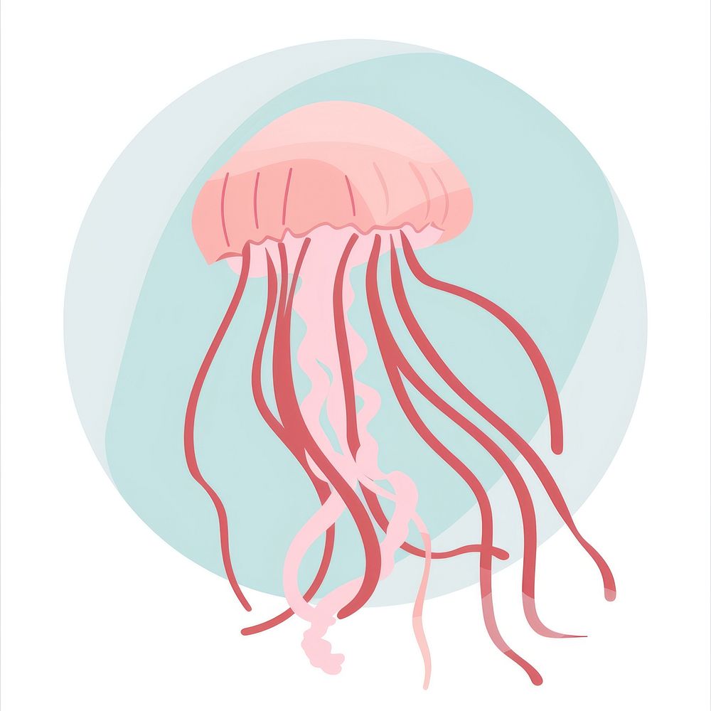 Jelly fish invertebrate jellyfish animal.