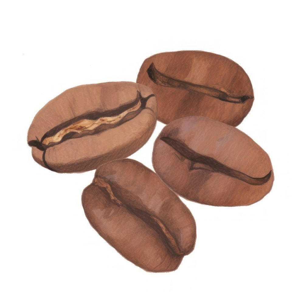 Coffee beans ripped paper white background freshness beverage.