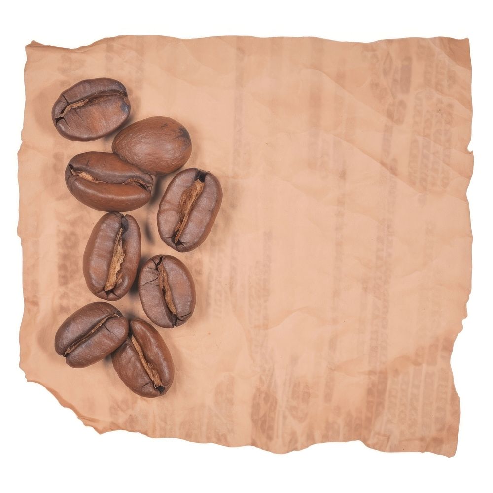 Coffee beans ripped paper backgrounds white background freshness.