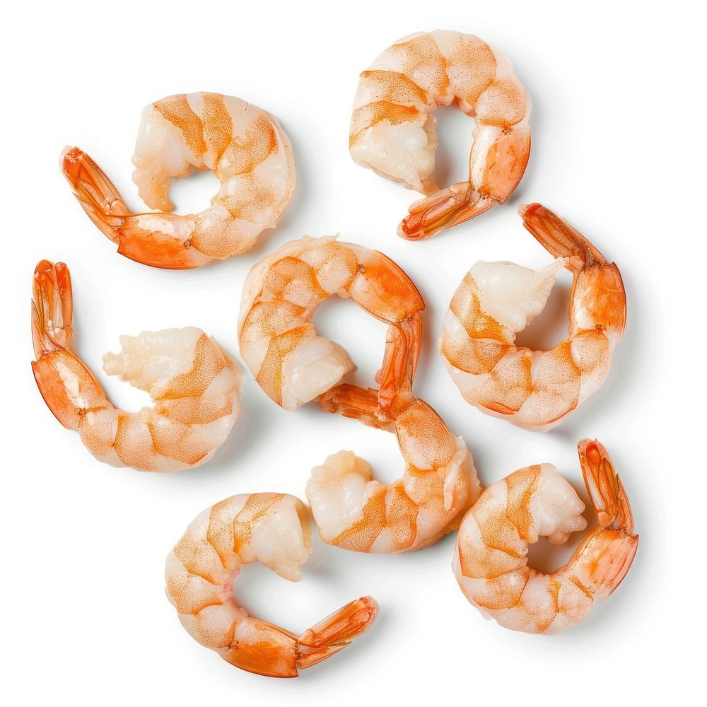 Cooked shrimp invertebrate seafood lobster.
