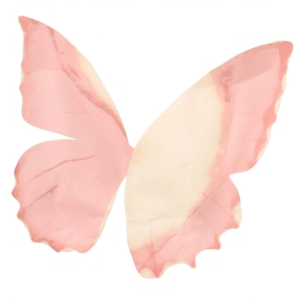 Pink butterfly shape ripped paper petal white background accessories.