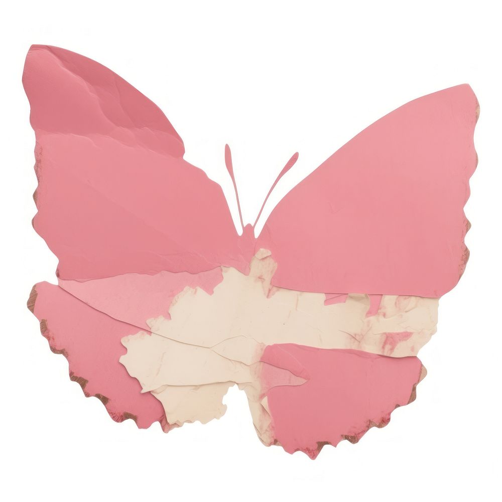 Pink butterfly shape ripped paper petal white background fragility.