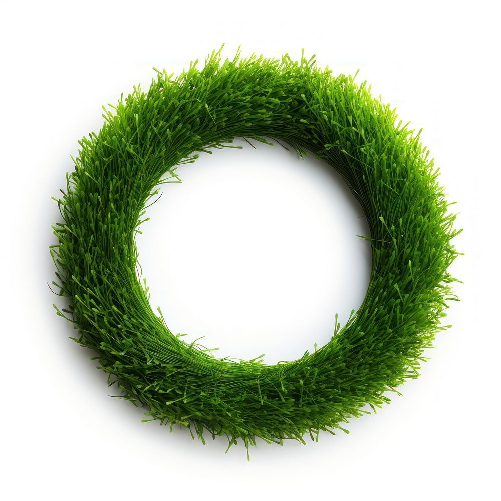 Circle shape grass green wreath plant.