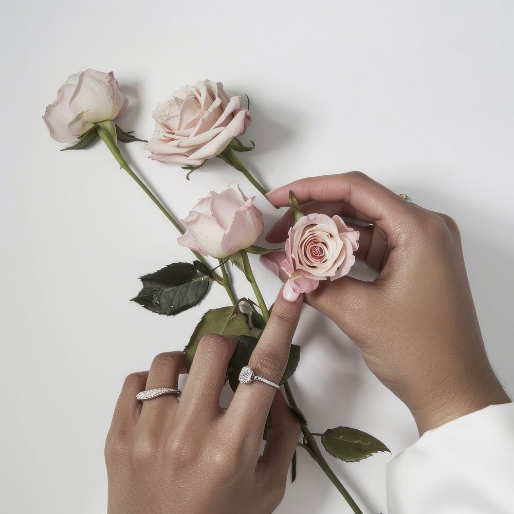 Woman hands holding roses flower wedding finger.