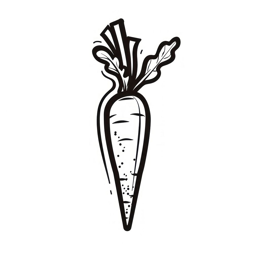 Carrot vegetable food white background.