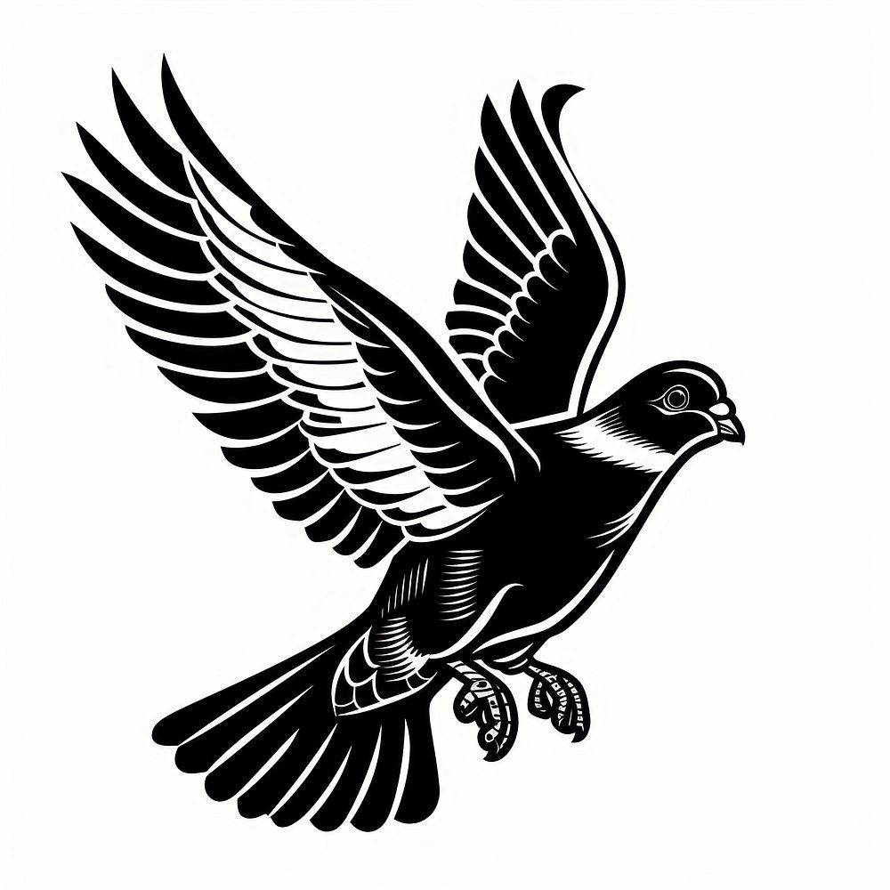 Pigeon animal flying black.