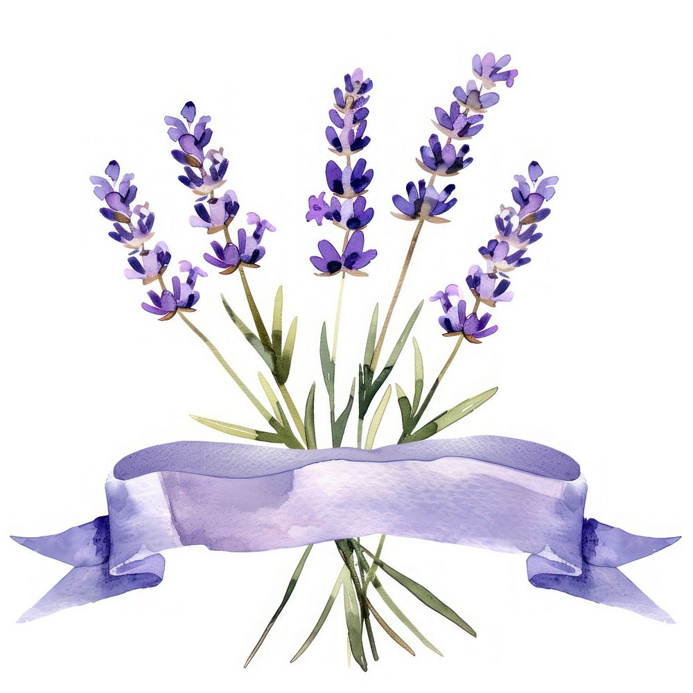 Ribbon with lavender border blossom flower purple.