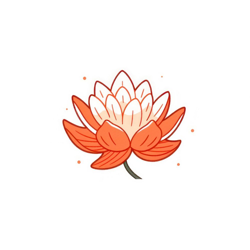 Orange lotus pattern flower petal.