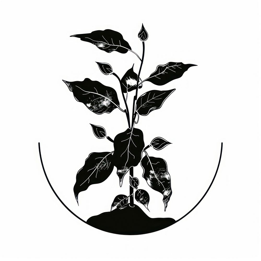 Plant silhouette black leaf.