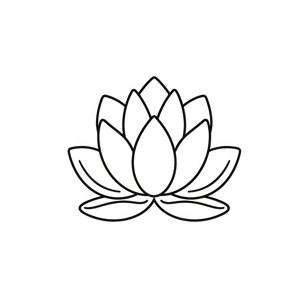 White lotus flower lily line.