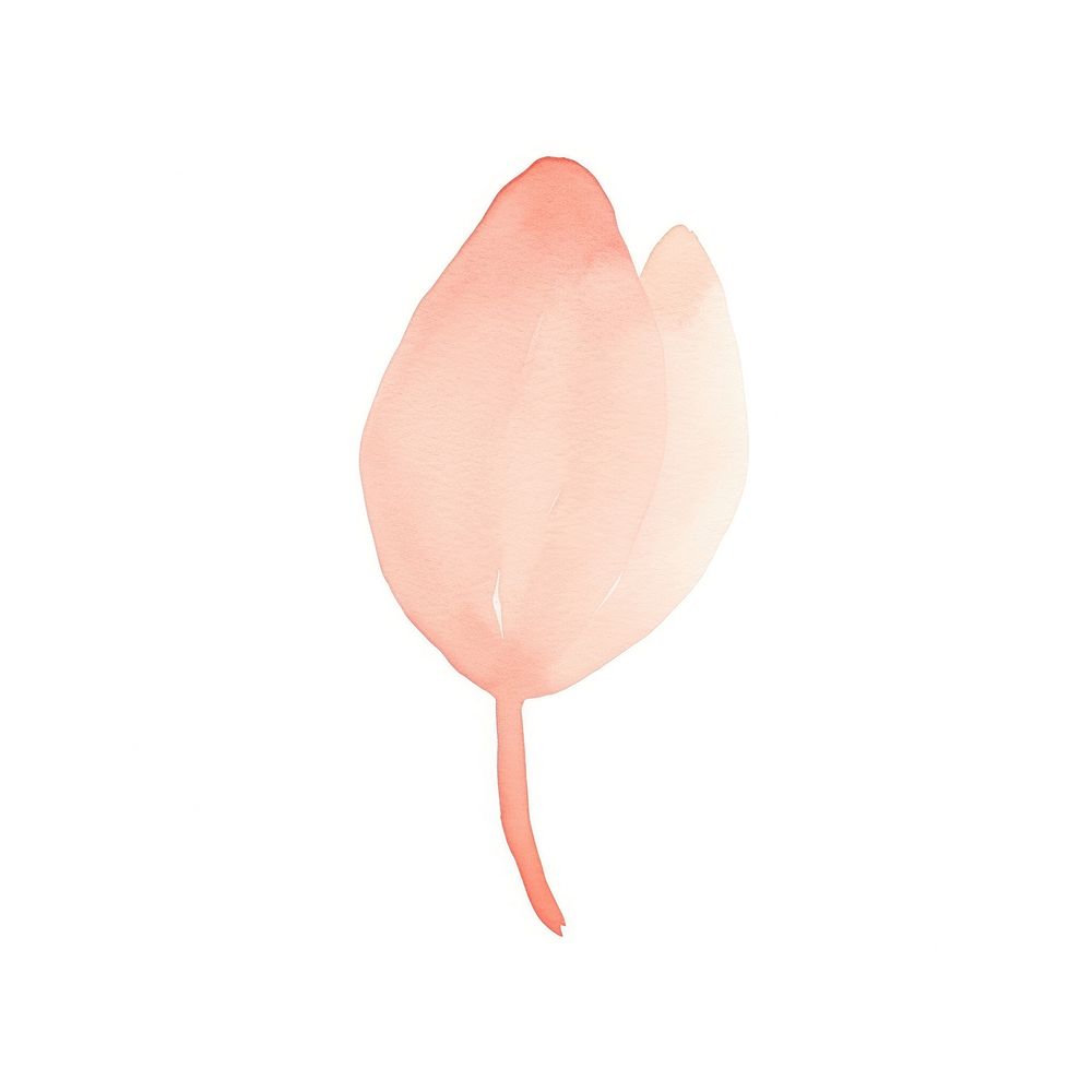 Watercolor abstract tulip petal plant leaf.