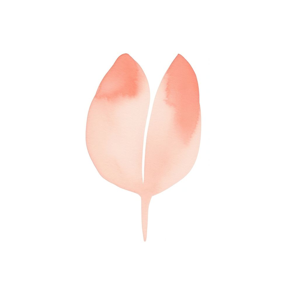 Watercolor abstract tulip petal plant leaf.