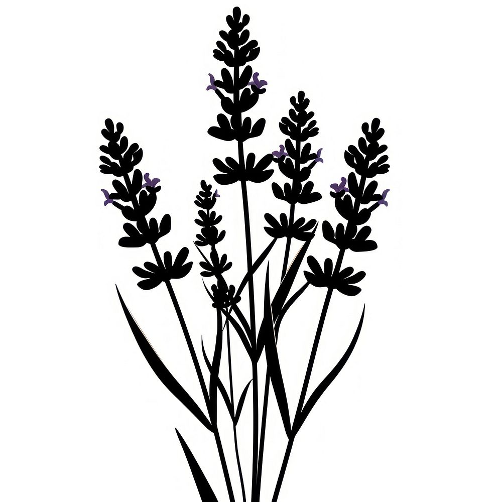 Lavender silhouette clip art lavender blossom flower.