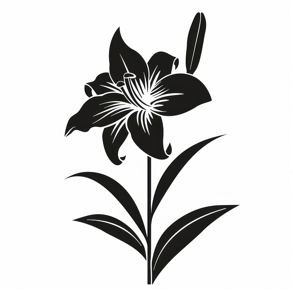 Lily silhouette clip art blossom | Free Photo Illustration - rawpixel